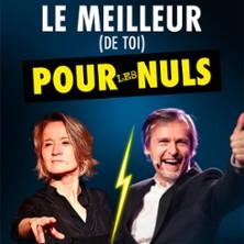 Le Meilleur (de toi) Pour les Nuls - Francine Vasse, Nantes