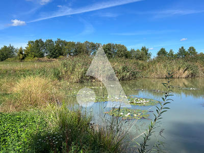 Terrain de loisirs - 17 741 m²