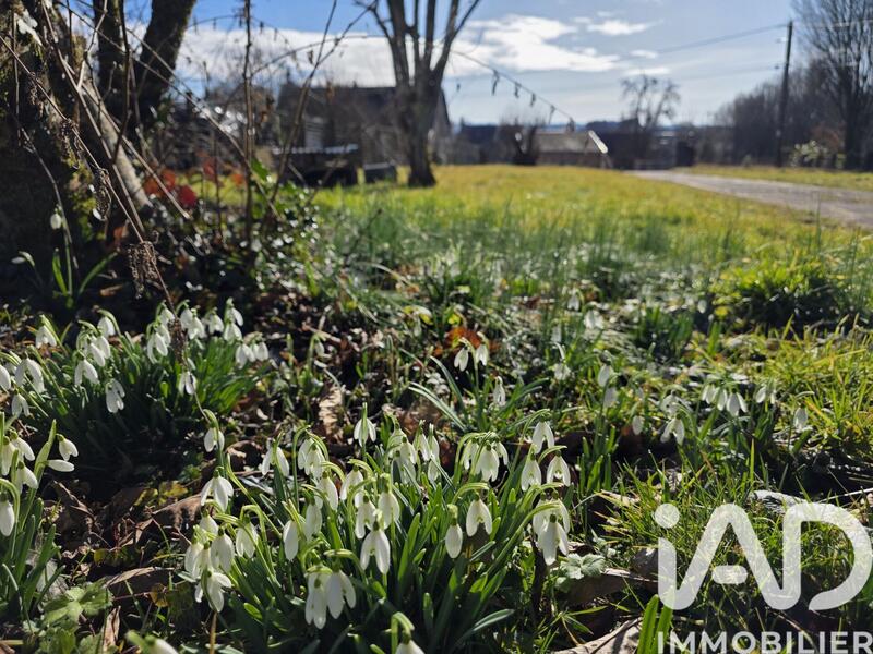 Appartement - 77 m² - 4 pièces