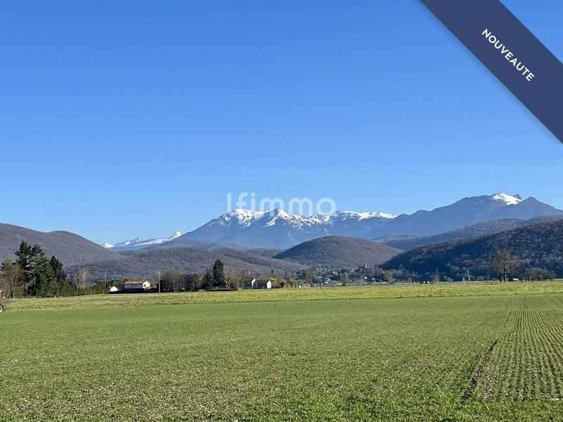 Terrain - 6 401 m²