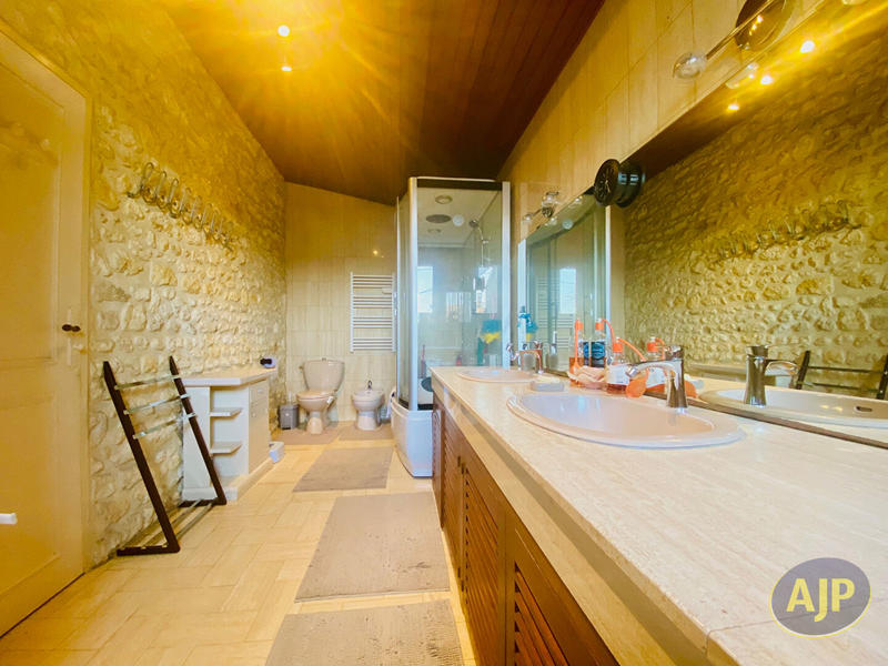 Maison - 315 m² - 10 pièces