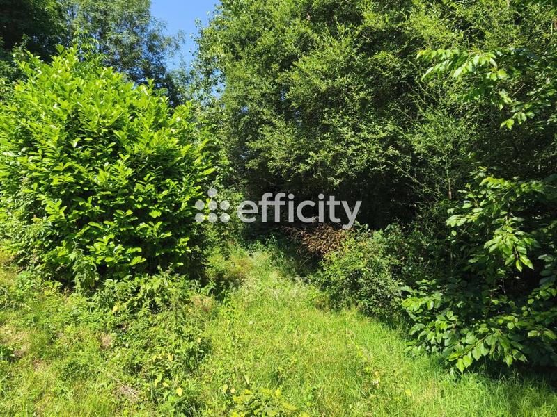 Longère - 108 m² - 5 pièces