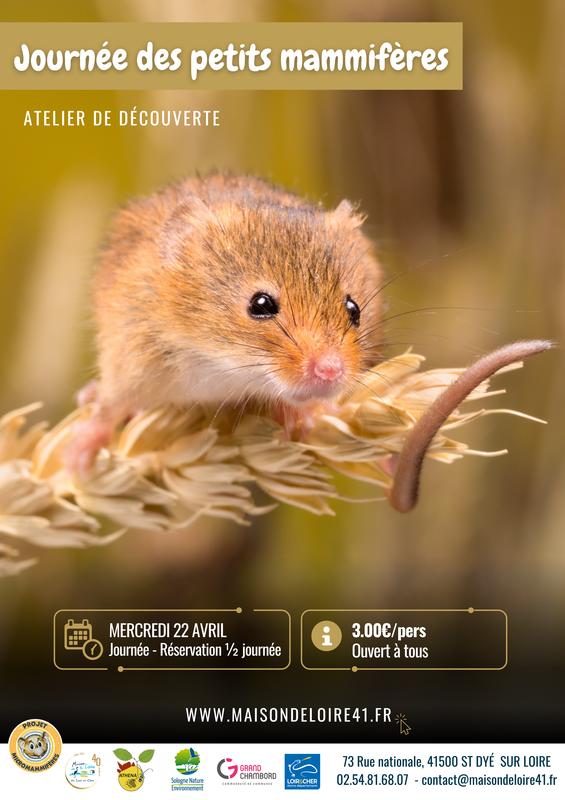 Journées des petits mammifères avec la maison de la Loire