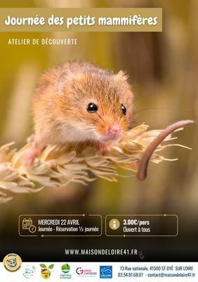Journées des petits mammifères avec la maison de la Loire