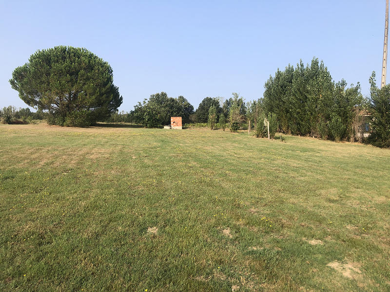 Terrain - 1 259 m²