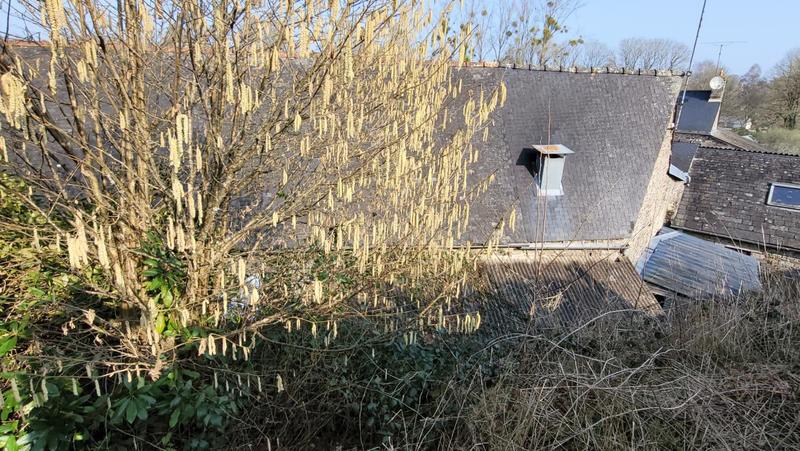 Maison en pierre - 139 m² - 6 pièces