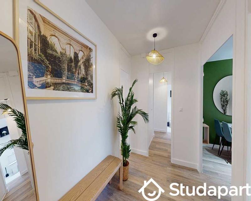 Chambre - 50 m² - 1 pièce