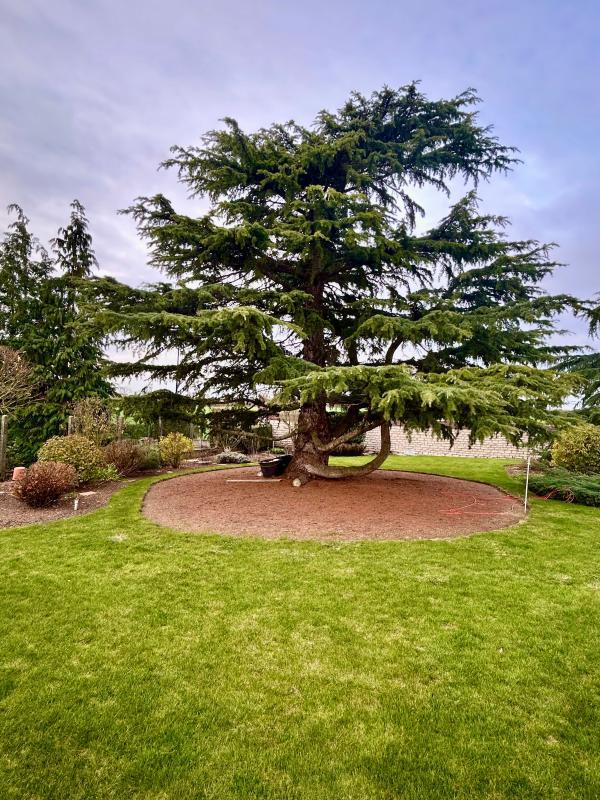 Maison - 292 m² - 5 pièces