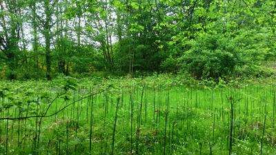 Terrain - 11 608 m²