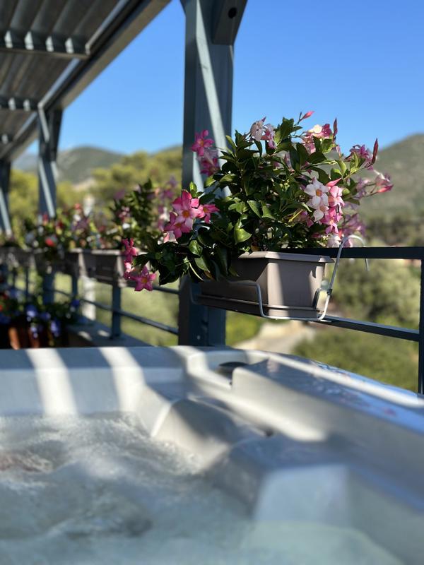 Appartement - 124 m² - 5 pièces