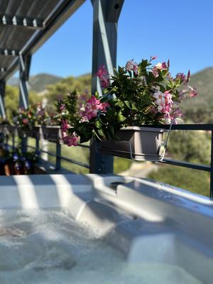 Appartement - 124 m² - 5 pièces