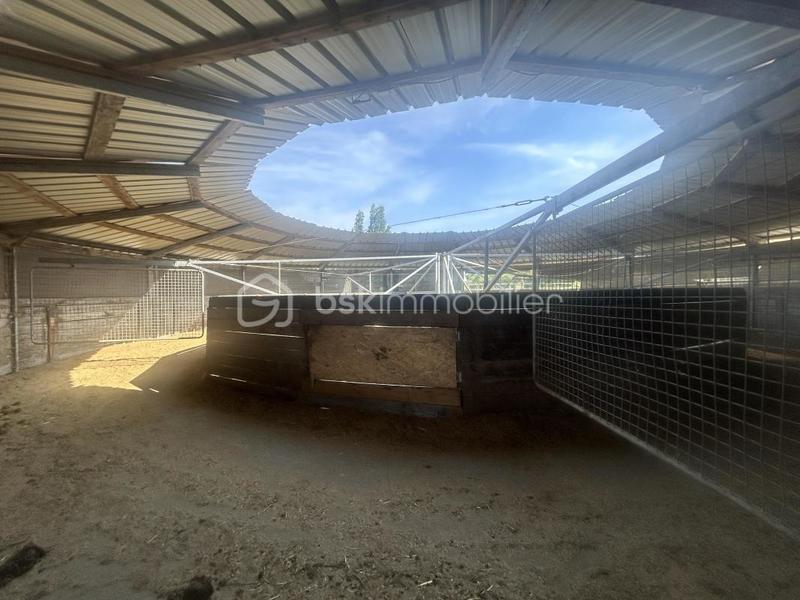 Maison de domaine équestre - 150 m² - 5 pièces