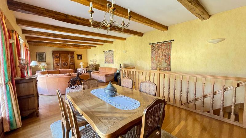 Maison en pierre - 323 m² - 10 pièces