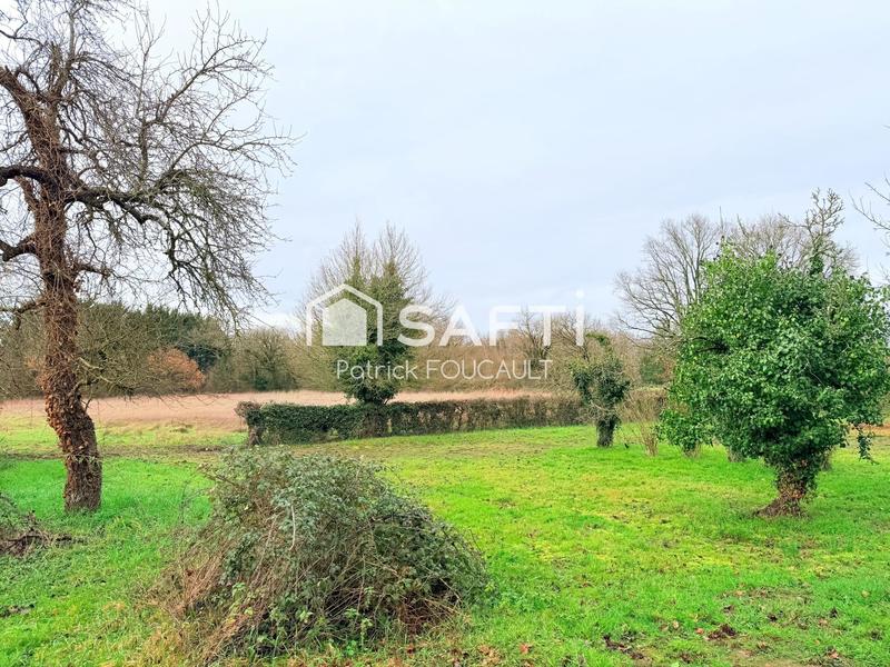 Terrain - 11 077 m²
