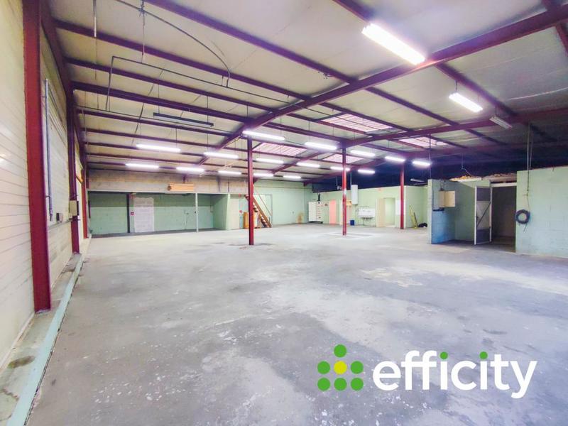 Bureau - 550 m² - 5 pièces