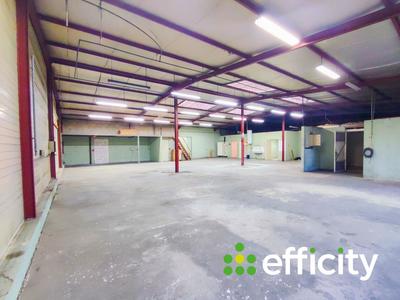 Bureau - 550 m² - 5 pièces