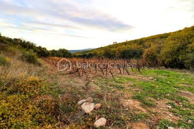 Terrain agricole - 41 775 m²