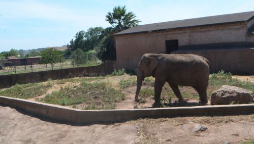 Parc Zoologique de Fréjus