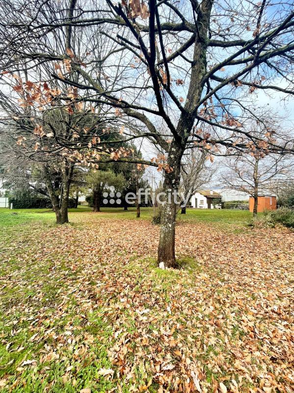 Pavillon - 180 m² - 8 pièces