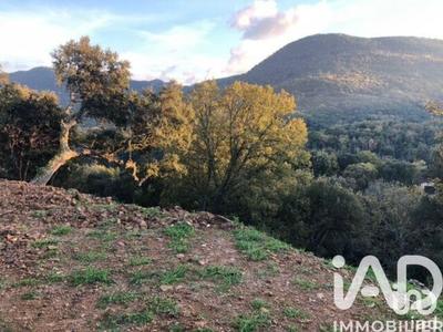 Terrain - 11 000 m²