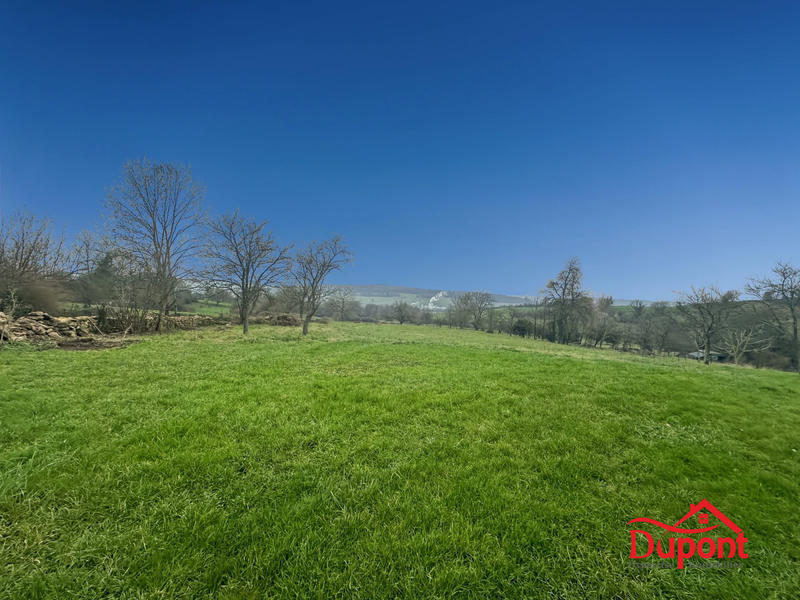 Maison ancienne - 225 m² - 5 pièces