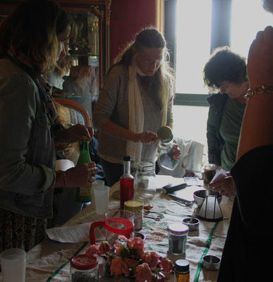 Ateliers-cueillettes de plantes sauvages