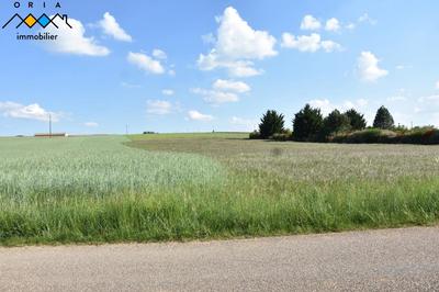 Terrain constructible - 1 672 m²