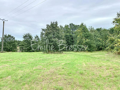 Terrain - 10 076 m²