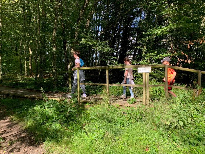 Activité : balade nature