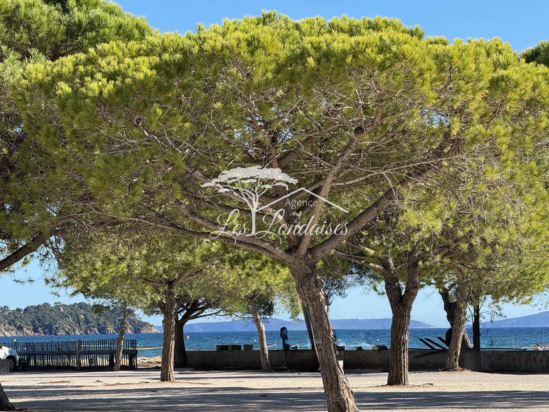 Appartement - 50 m² - 3 pièces