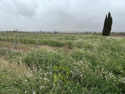 Terrain agricole - 4 800 m²