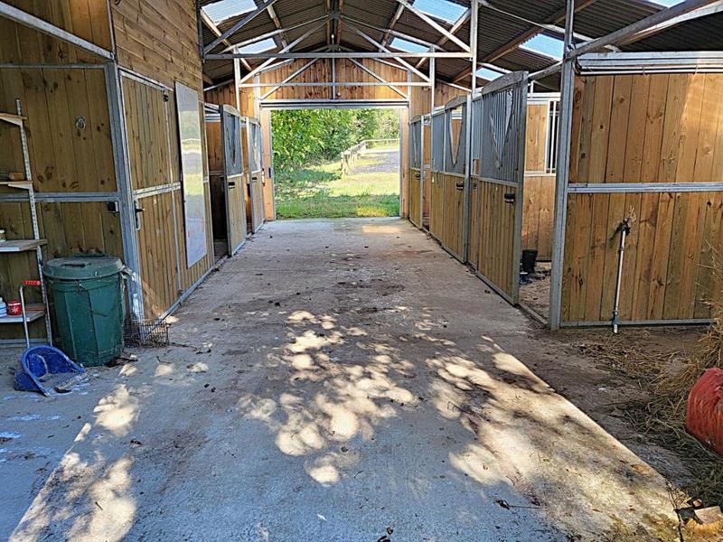 Terrain - 12 784 m²