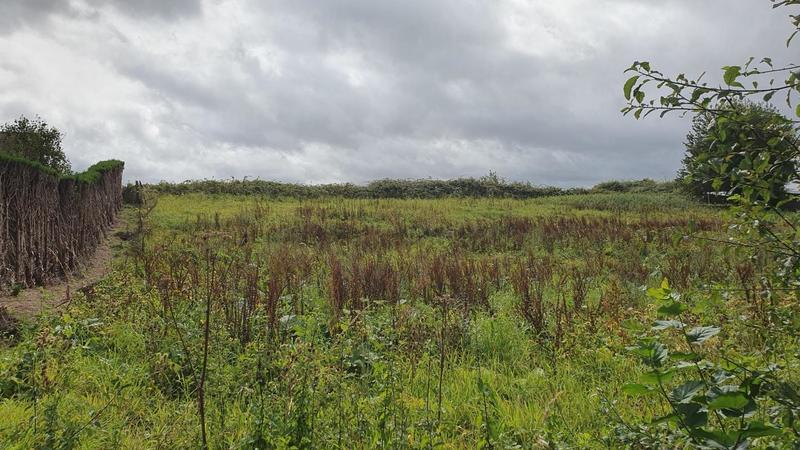 Terrain constructible - 1 435 m²