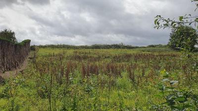 Terrain constructible - 1 435 m²