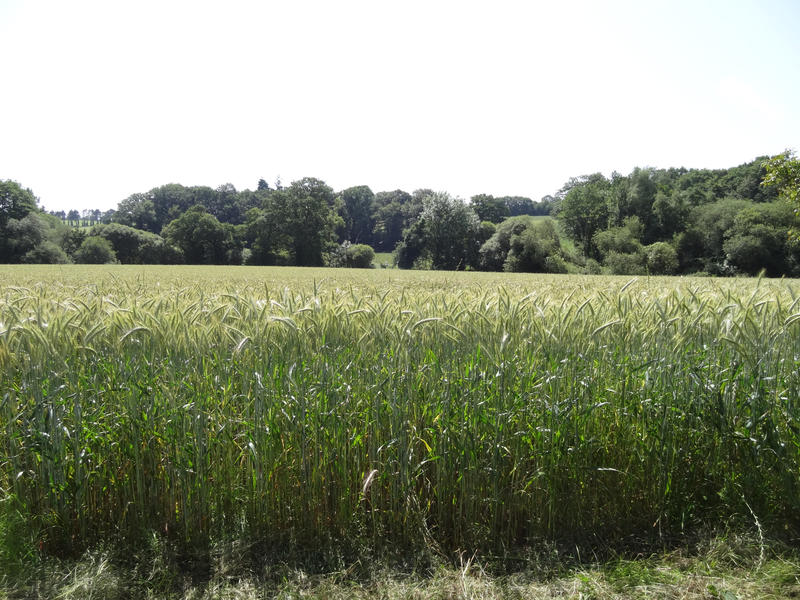 Maison - 67 m² - 5 pièces