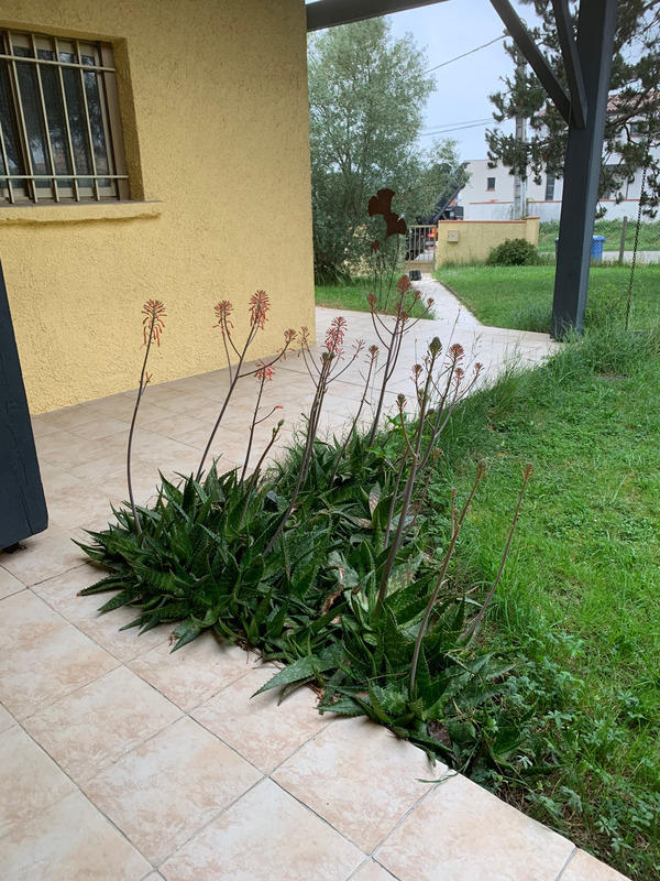 Maison - 200 m² - 8 pièces