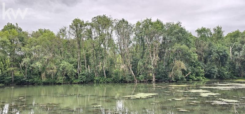 Moulin - 500 m² - 14 pièces