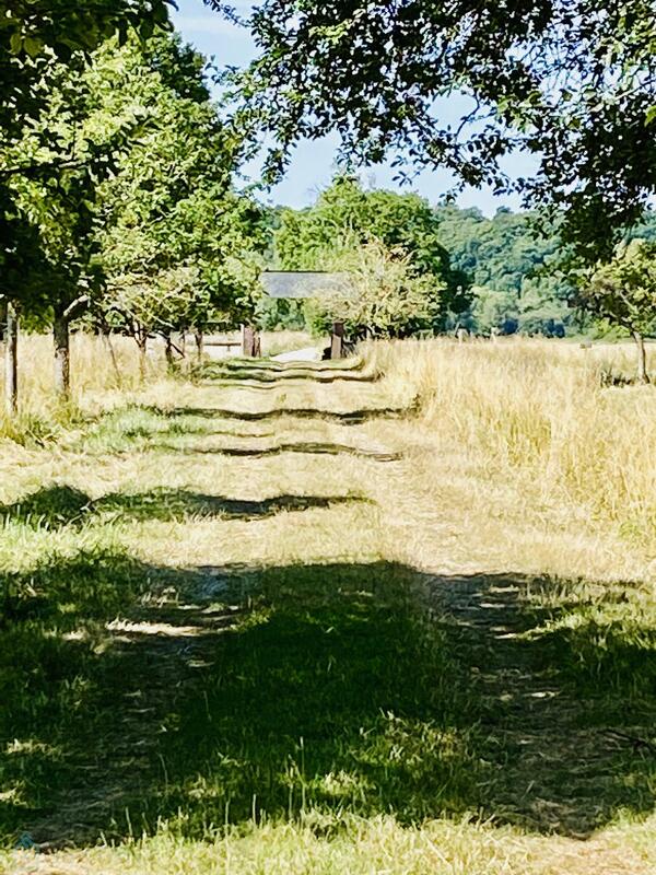 Maison normande - 156 m² - 6 pièces