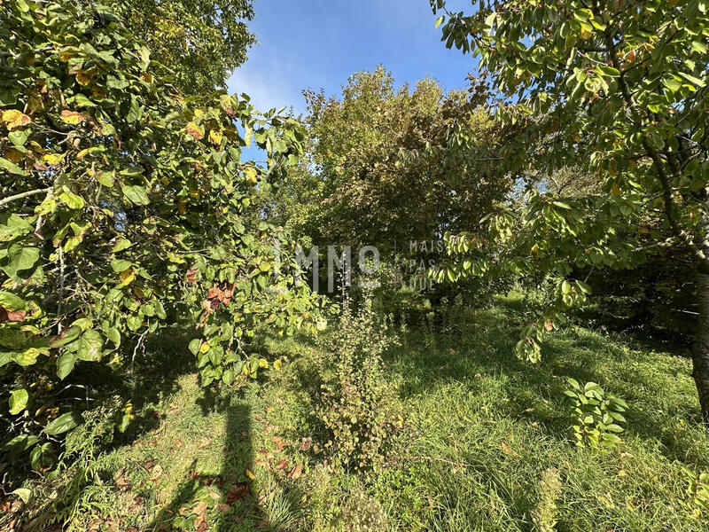 Maison ancienne - 45 m² - 3 pièces