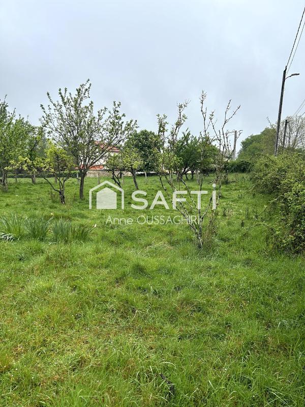 Terrain - 1 623 m²