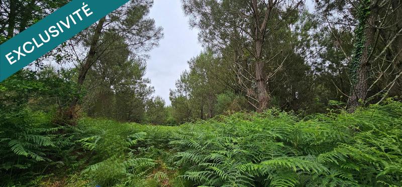 Terrain agricole - 5 640 m²