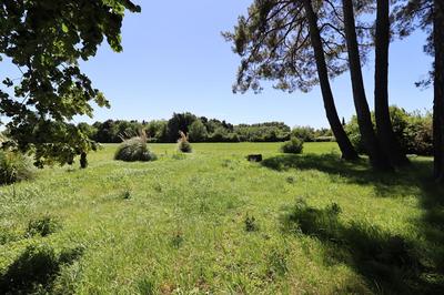 Maison - 280 m² - 9 pièces