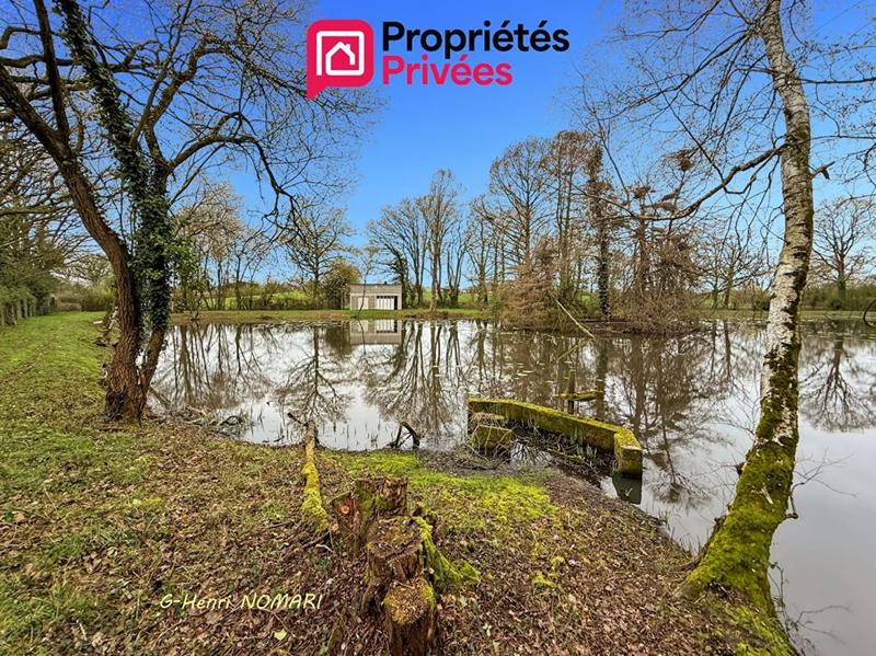 Étang - 12 340 m²