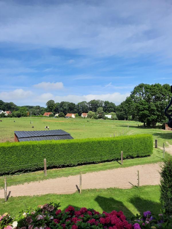 Terrain de loisirs - 11 400 m²