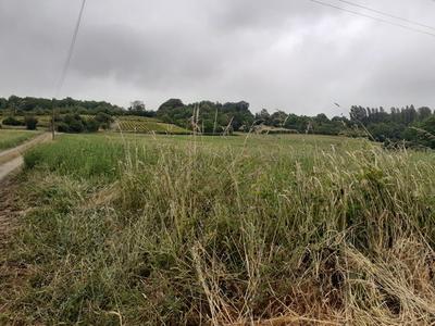 Terrain constructible - 11 500 m²