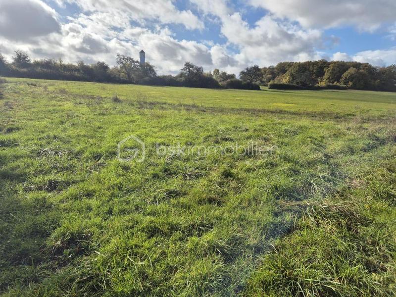 Longère - 115 m² - 4 pièces