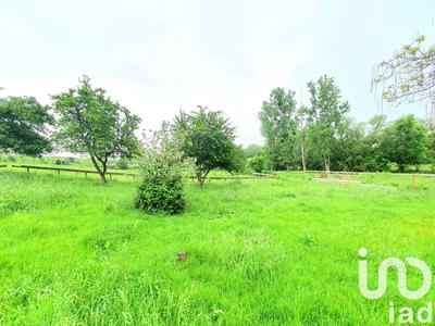 Maison - 262 m² - 8 pièces