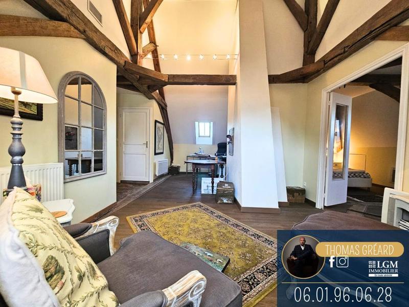 Château - 265 m² - 6 pièces