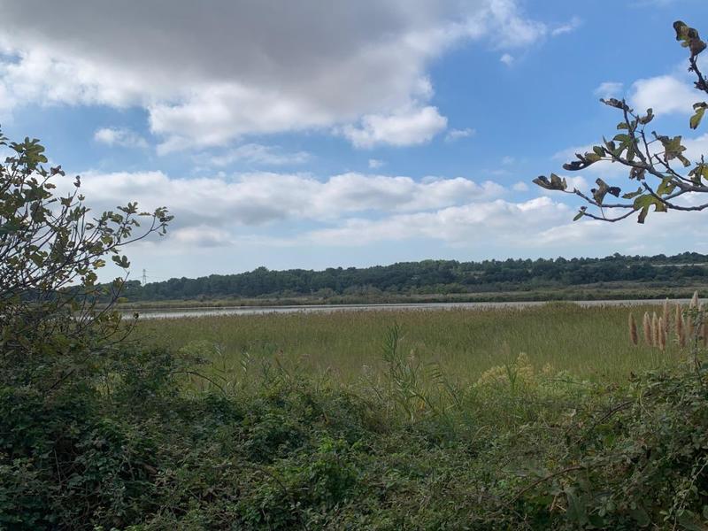 Terrain constructible - 401 m²