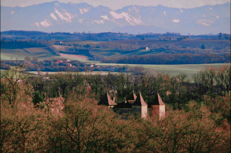 Château - 390 m² - 12 pièces